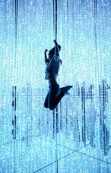 TeamLab Planets TeamLab Planets