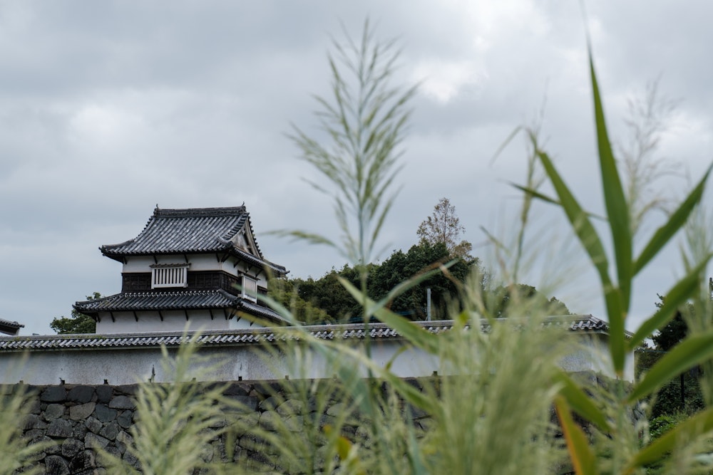 Fukuoka Castle