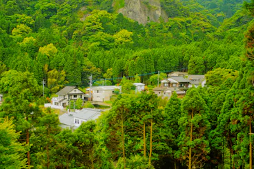 A cluster of houses nestled among lush green trees at the edge of a dense forest, with a rocky hill in the background under an overcast sky.