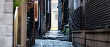 A narrow, stone-paved alleyway between buildings, with soft light in the distance and plants along the edges. The passageway is quiet and empty, lined with walls, doors, and wooden fences.