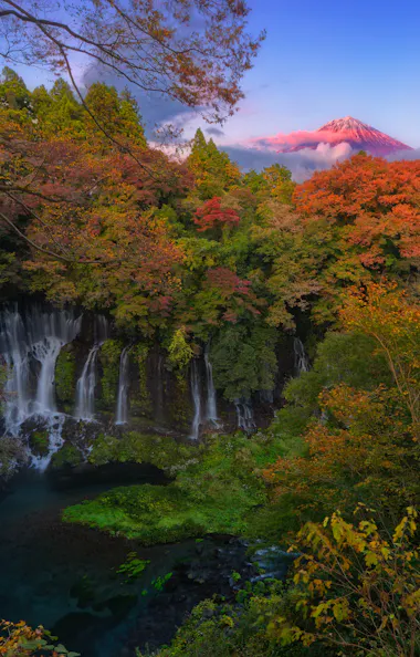 Shiraito Falls A scenic view of Shiraito Falls surrounded by lush, colorful autumn trees, with Mount Fuji in the background against a clear blue sky at sunset.