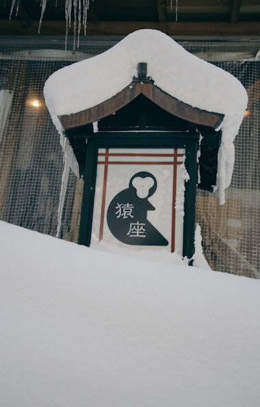 Jigokudani Snow Monkey Park Jigokudani Snow Monkey Park