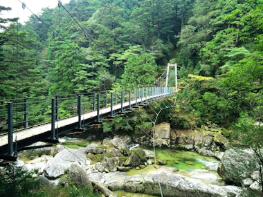 Yakusugi Land Bridge