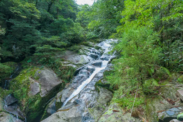 Shiratani-Unsuikyo Ravine