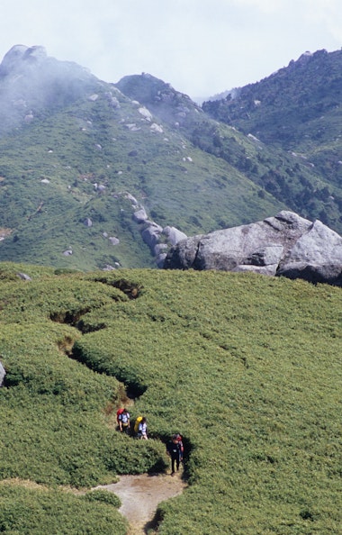 Yakushima mountain trekking Yakushima mountain trekking