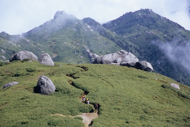 Yakushima mountain trekking