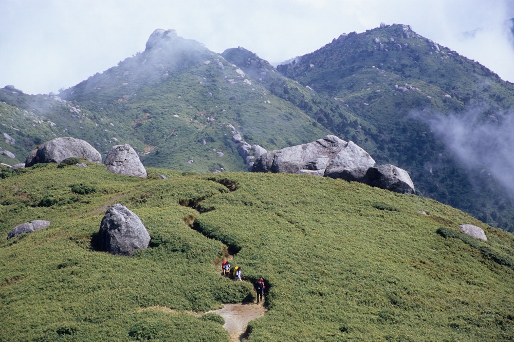 Yakushima mountain trekking