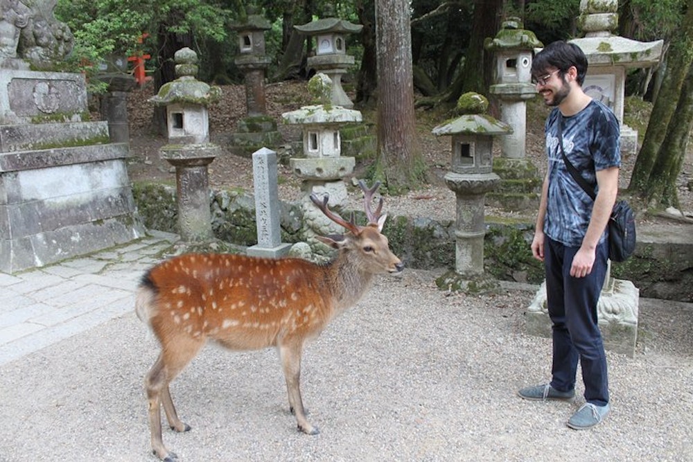 Nara Park