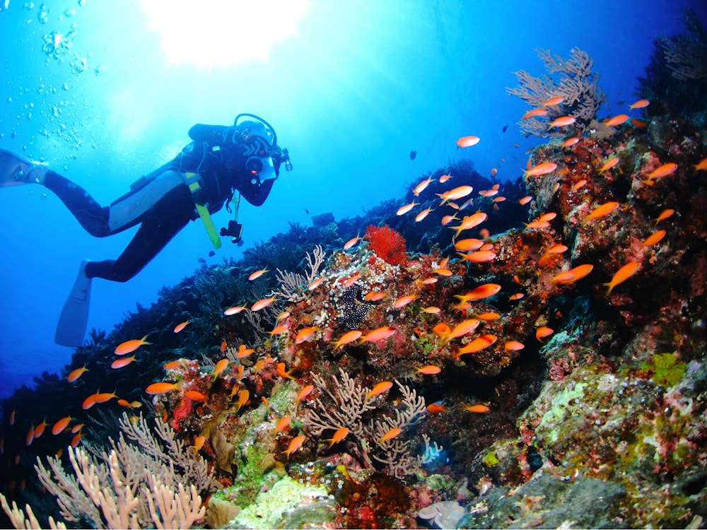 Diving in Okinawa