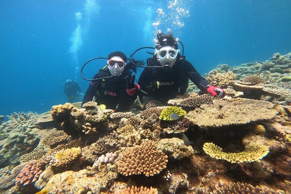 Diving in Okinawa