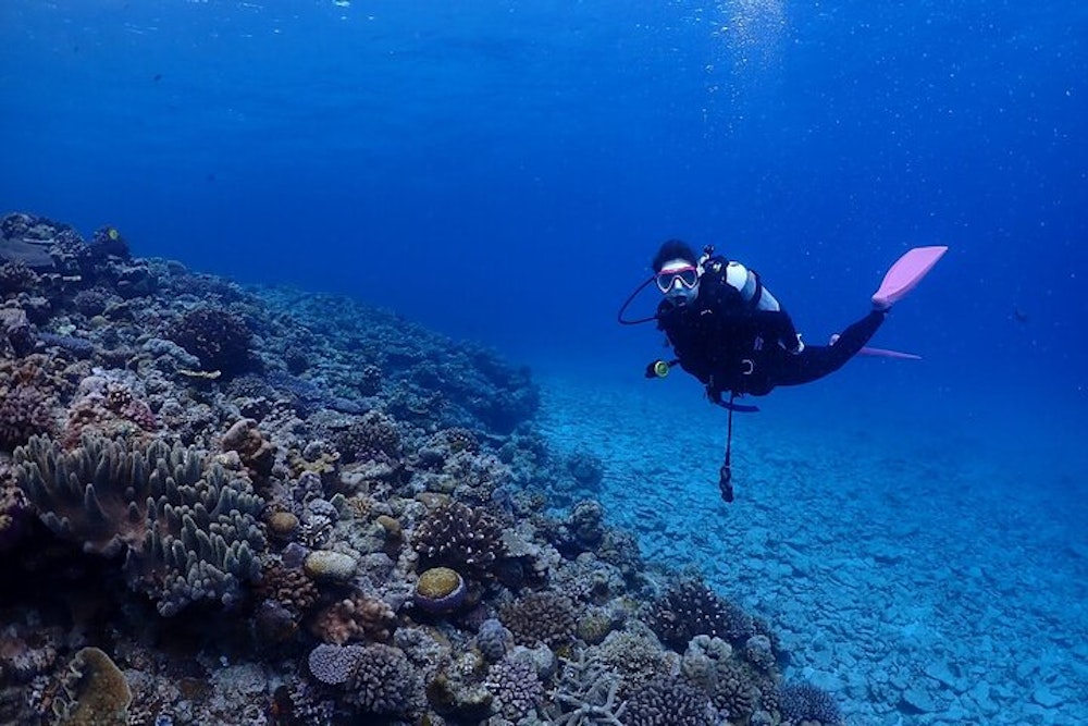 Diving in Okinawa