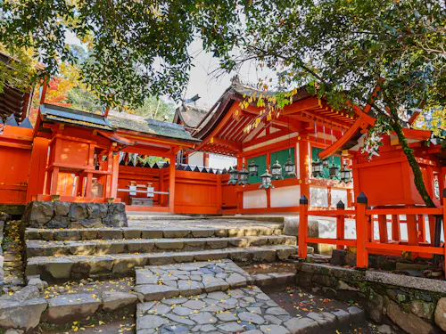 Kasuga Taisha Shrine A traditional Japanese Shinto shrine with bright red wooden structures, stone steps, and surrounding trees, illuminated by natural daylight.