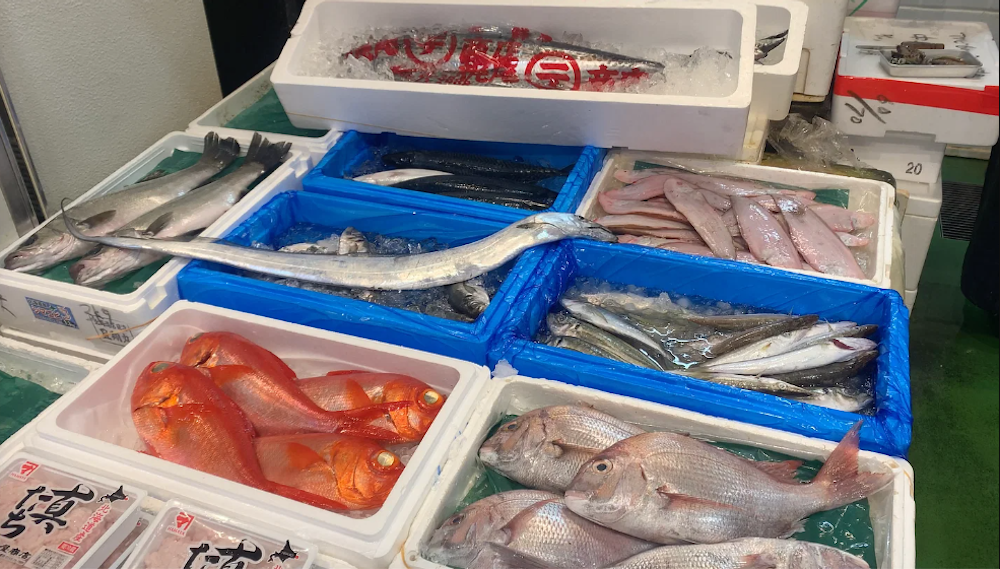 Tsukiji Outer Market