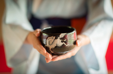 Tea Ceremony Camellia GARDEN