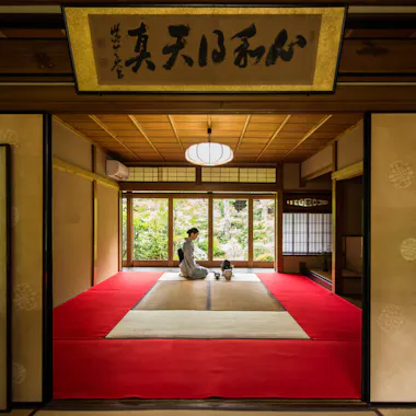 Tea Ceremony Camellia GARDEN Tea Ceremony Camellia GARDEN