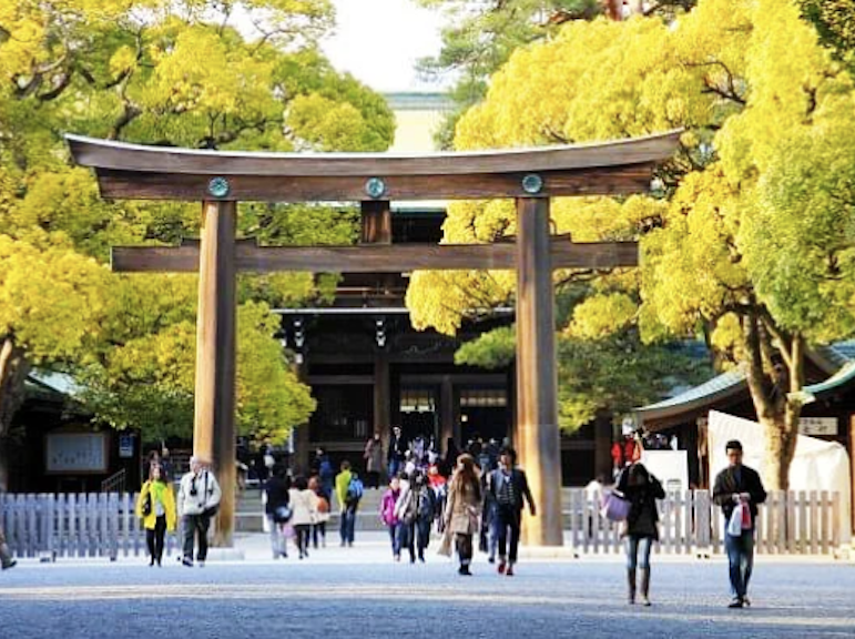 Discover Tokyo: Half-Day Private Tour by Chartered Vehicle