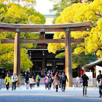 Meiji Shrine People walking under a large wooden torii gate at a Shinto shrine, surrounded by vibrant yellow-leaved trees. The setting is bright and bustling, with traditional architecture visible in the background.