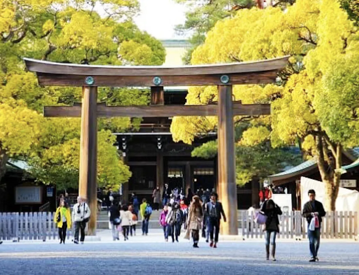 Meiji Shrine People walking under a large wooden torii gate at a Shinto shrine, surrounded by vibrant yellow-leaved trees. The setting is bright and bustling, with traditional architecture visible in the background.