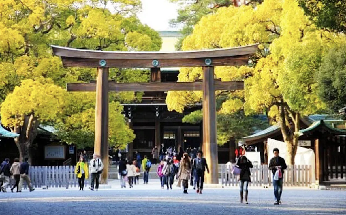 People walking under a large wooden torii gate at a Shinto shrine, surrounded by vibrant yellow-leaved trees. The setting is bright and bustling, with traditional architecture visible in the background.