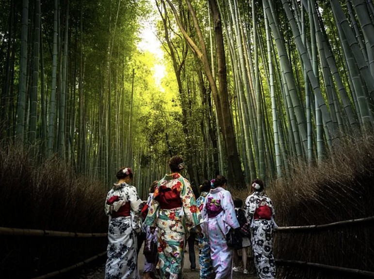 嵐山の着物体験:竹林の美しさの冒険