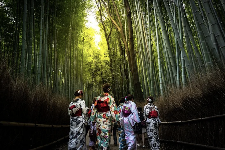 Kimono and Bamboo Forest