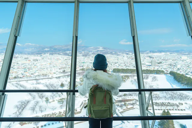 A person wearing a green backpack, winter coat, and blue beanie stands at a large glass window, overlooking a snowy cityscape with distant mountains under a clear sky.