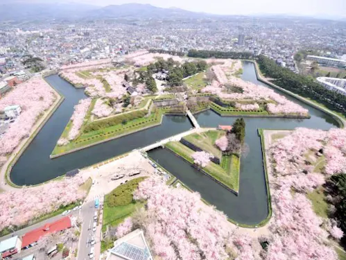 Aerial view of a star-shaped fort surrounded by water and cherry blossom trees in full bloom, with a cityscape and mountains in the background.