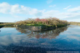 A serene moat surrounds a small, green, tree-covered island with pink cherry blossoms in bloom, reflected in the still water under a blue sky with scattered clouds.