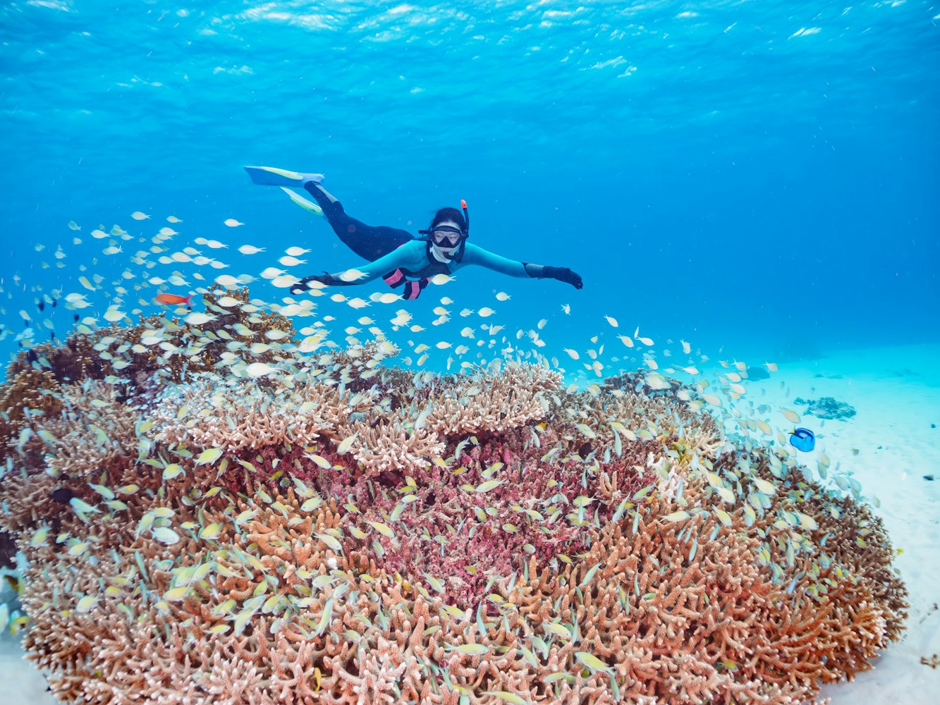 Okinawa Snorkeling