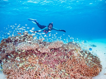 Okinawa Snorkeling