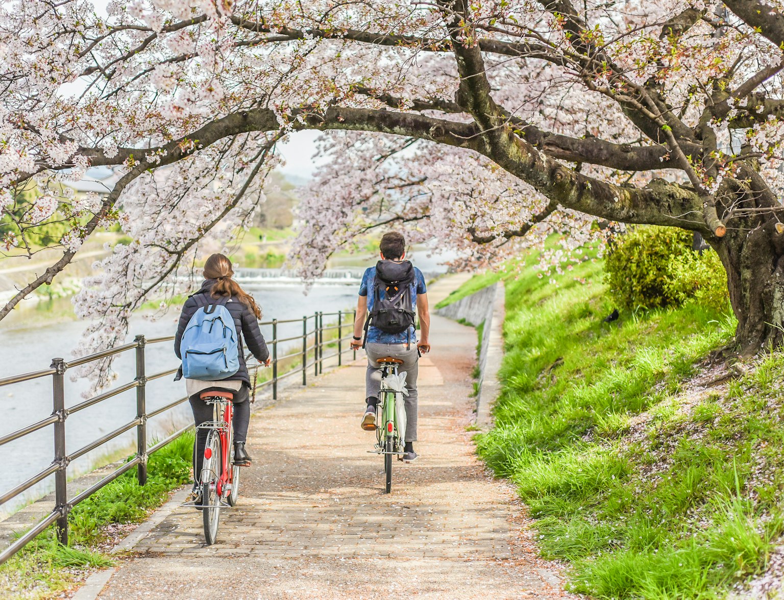 Cycling in Kyoto