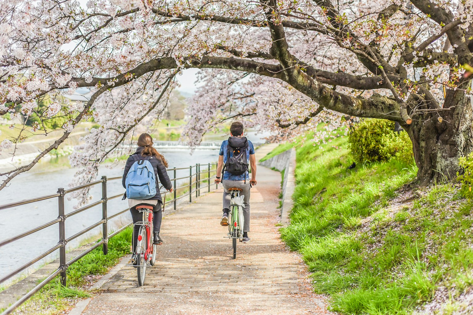 Cycling in Kyoto