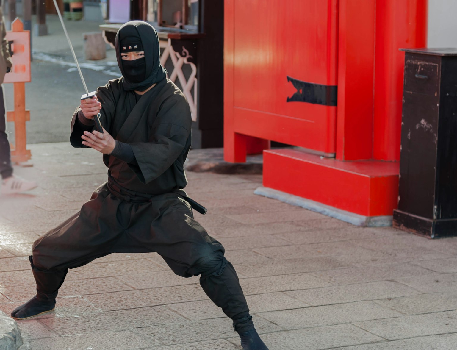 Ninja Ninja