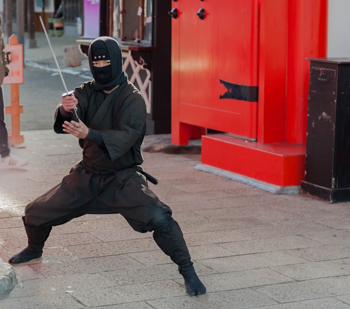 Ninja Walk: Zojoji Temple & Tokyo Tower Tour