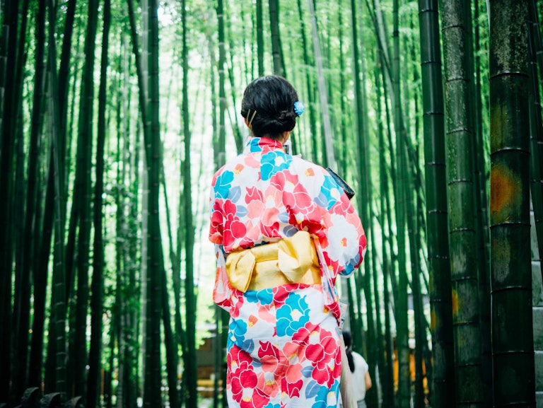 Kamakura bamboo grove