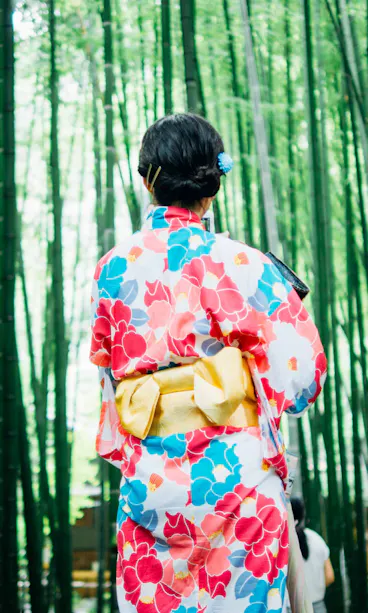 Kamakura bamboo grove Kamakura bamboo grove