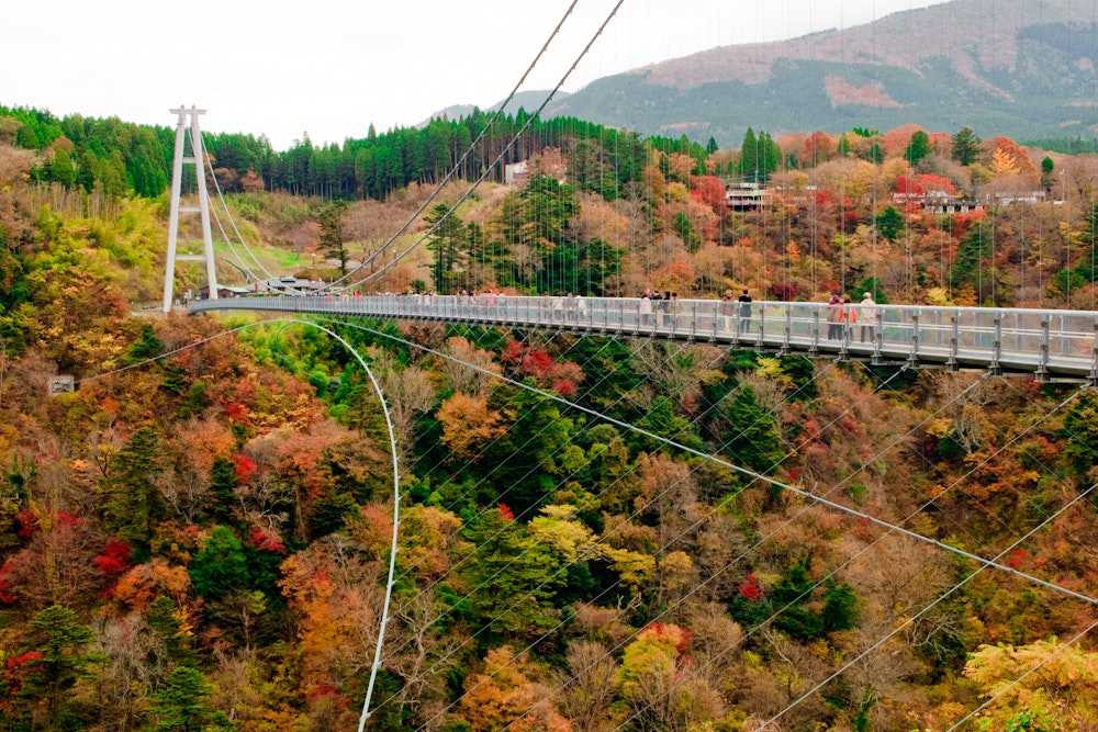 Otsurihashi Bridge