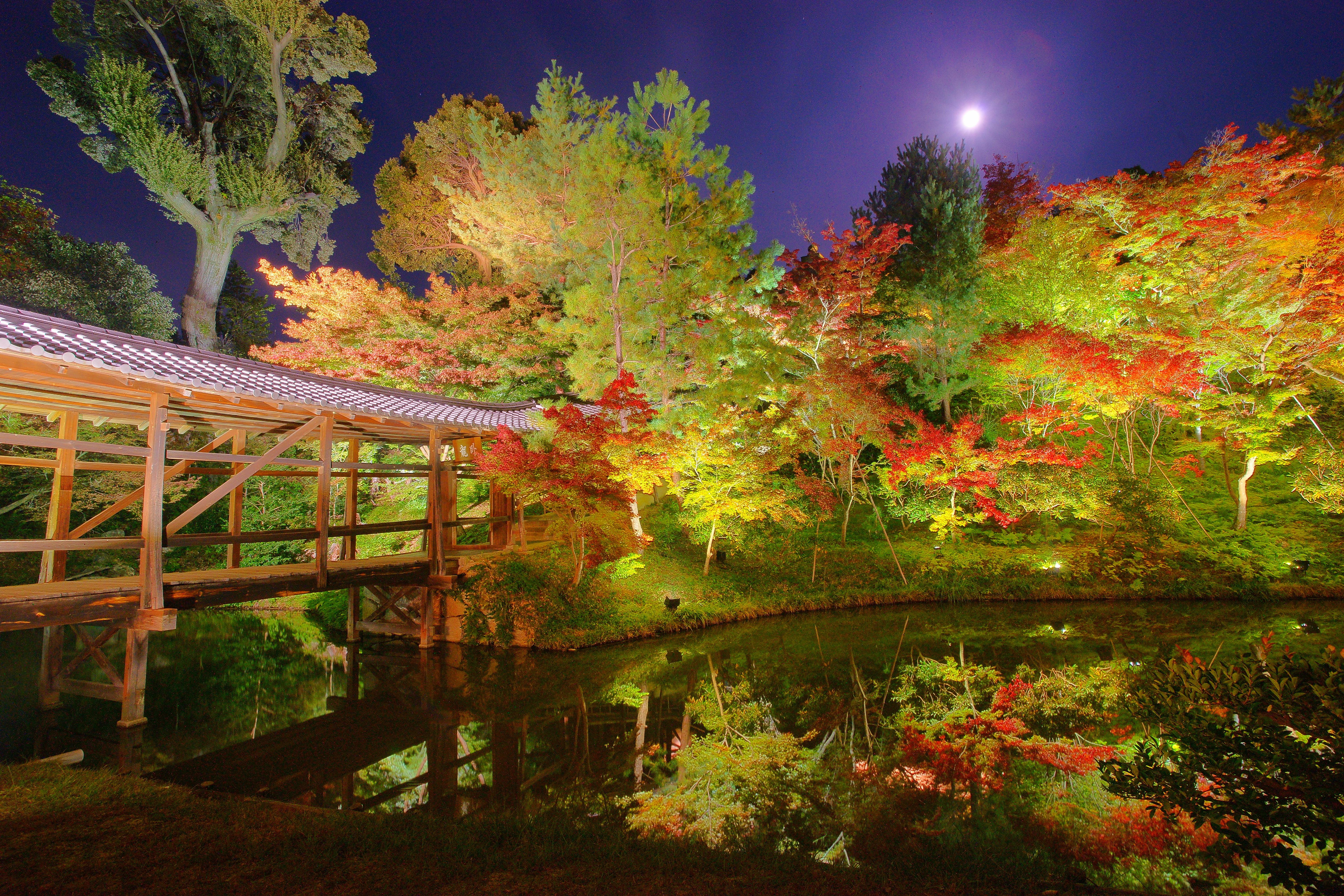 A moonlit Japanese garden with a wooden bridge, vibrant autumn trees illuminated in red, yellow, and green, and their reflections visible in a calm pond at night.