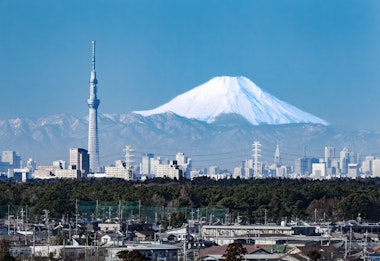 Skytree and Mt. Fuji