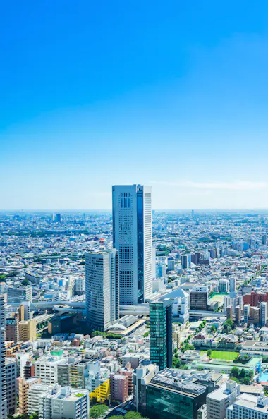 Tokyo View Tokyo View