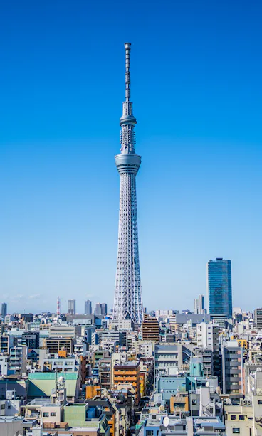 Skytree Skytree