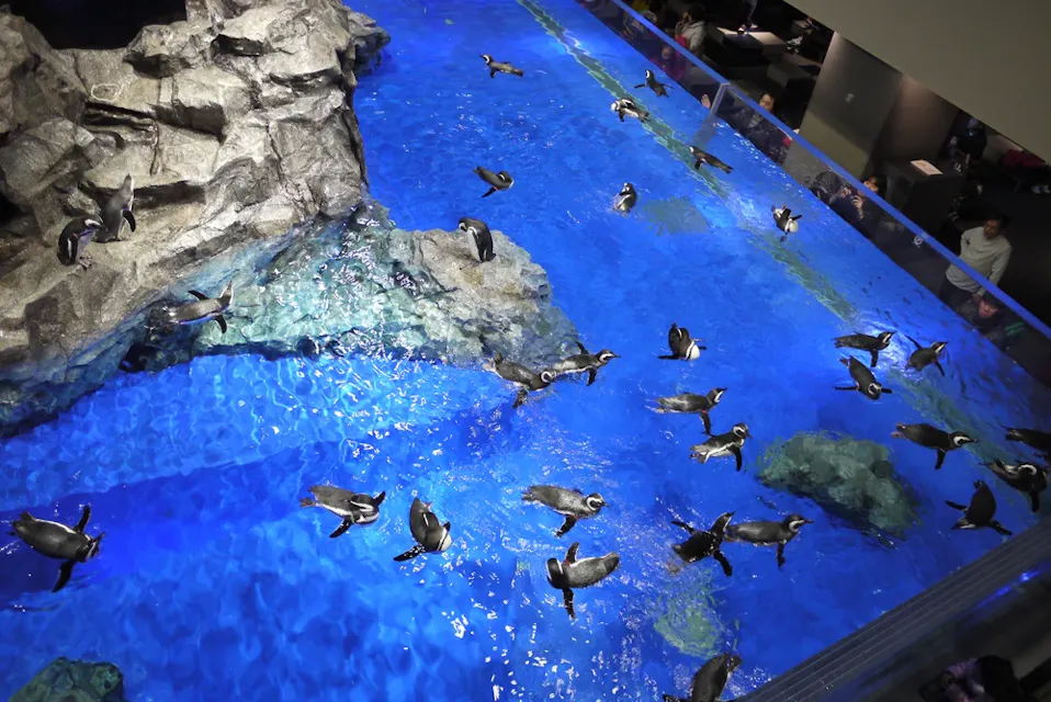 Sumida Aquarium Sumida Aquarium