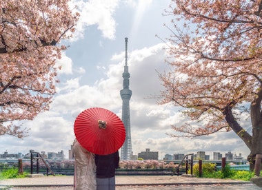 Exploring Tokyo Skytree