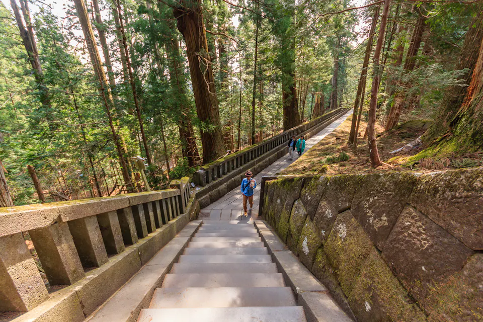 背の高い木に囲まれた森の中で、長い石の階段を登っているハイカーのグループ。道は石の手すりに挟まれ、苔で覆われた壁に沿っている。雰囲気は静かで絵のように美しい。