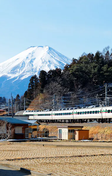 Fujiky Mt. Fuji and Five-Storied Pagoda Tour with an English-Speaking Guide ...