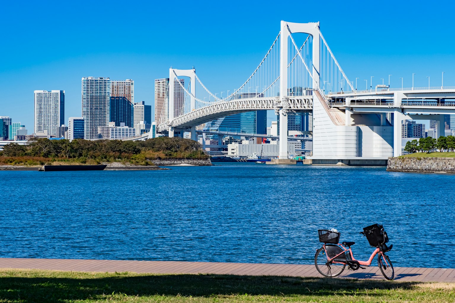 Biking in Tokyo