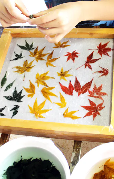 Washi Postcard Making A person arranges colorful autumn leaves on wet paper inside a wooden frame, possibly making handmade paper; buckets with plant materials are nearby.
