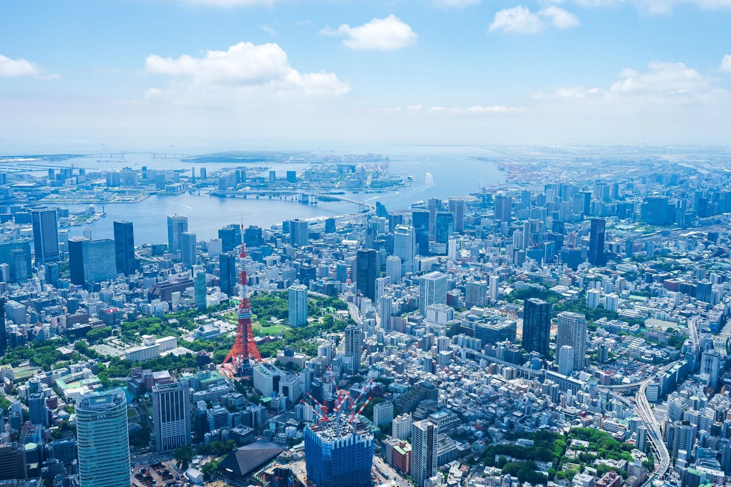 Tokyo Tower Aerial View