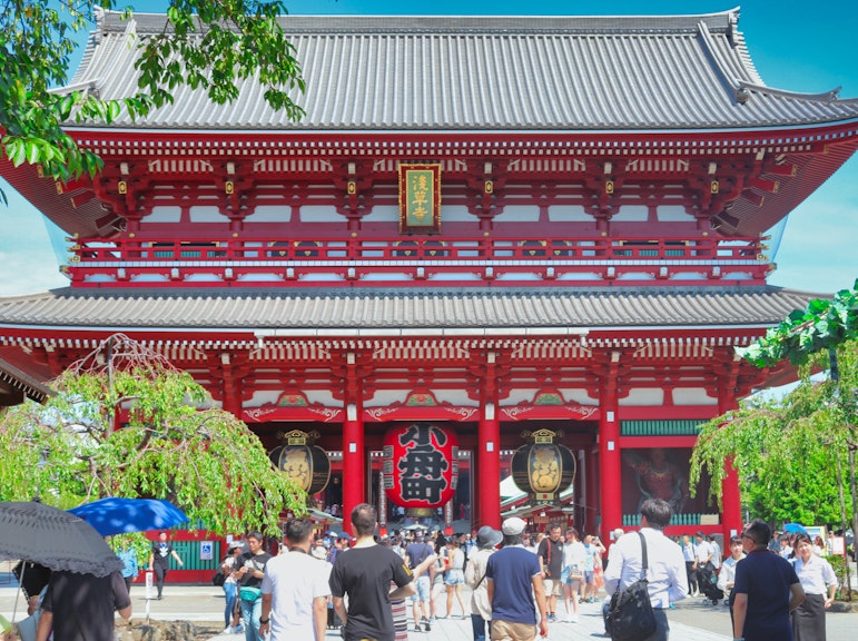 도쿄의 아침 비밀: 하이브리드 버스로 떠나는 신나는 반나절 도쿄 투어