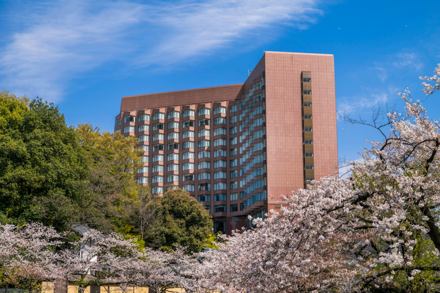 鮭色のファサードを持つ背の高い現代的な建物が、青々とした緑と満開の桜の木々の中に立ち、明るい青空と細い雲を背景にしています。このシーンは春の訪れと自然の美しさを呼び起こします。